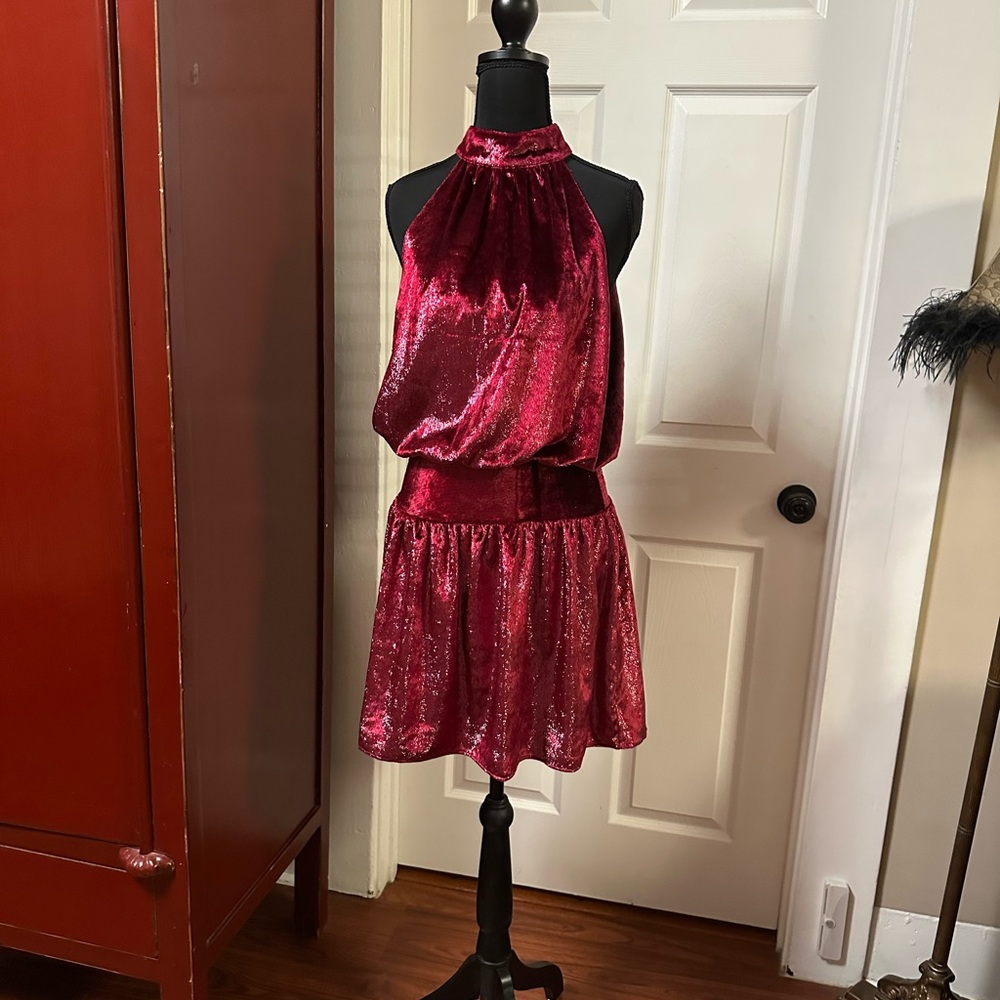 Ramy Brook Deep Red Shimmer Dress